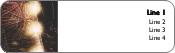 Grand Finale of Fireworks Return Address Labels