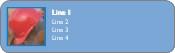 Ten Minute Break Return Address Labels