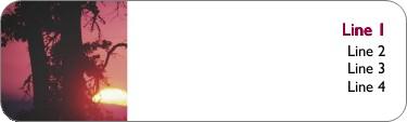 The Forest at Sunrise Return Address Labels