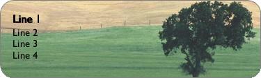 Wide Open Space Return Address Labels