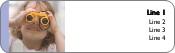 Child with Binoculars Return Address Labels