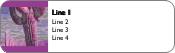 Desert Cactus Return Address Labels