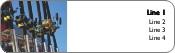 Fishing Rods Return Address Labels