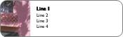 Hotel Balcony Return Address Labels