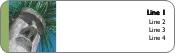 Tiki with Grass Hair Return Address Labels