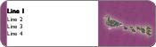 All in a Row Return Address Labels