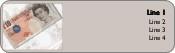 Ten Pound Note Return Address Labels