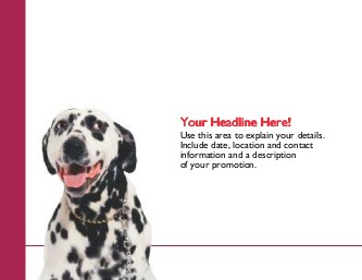 Perky Pooch Large Magnets