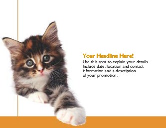 Kitten Large Magnets