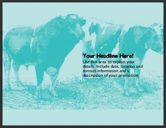 Bull and Cow Large Magnets