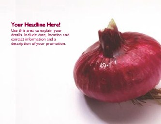 Red Onion Large Magnets