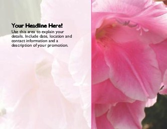 Pink Iris Large Magnets