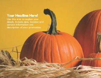 Pumpkins and Raffia Large Magnets