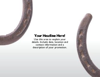 Horseshoe Large Magnets
