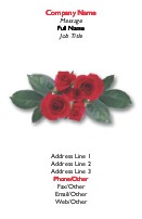 Rosy Posy