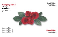 Rosy Posy Recycled Business Cards