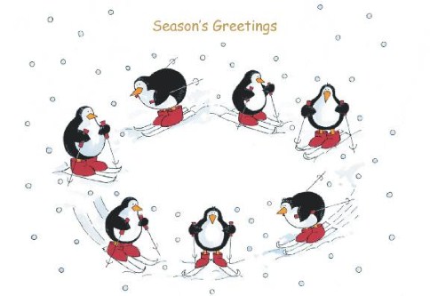 Penguin Fun Personalised Christmas Cards