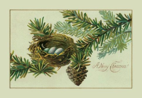 Simplistic Christmas Personalised Christmas Cards
