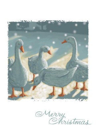 A Christmas Flock Personalised Christmas Cards