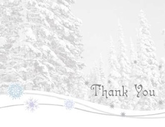 Winter Romance Wedding Thank You Cards