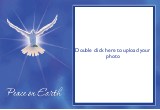 Christmas Peace Offering Photo Christmas Cards