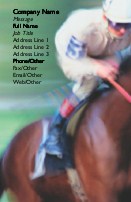 Jockey and Horse
