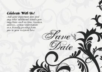 Bliss Sophisticate Standard Sized Save the Date Postcards