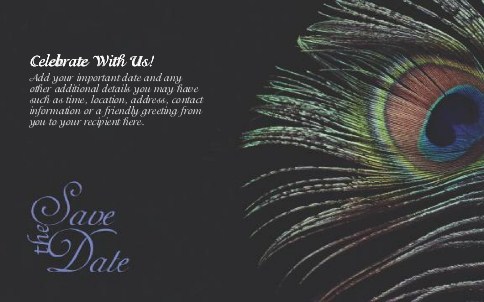 Peacock Feather Oversized Save the Date  Postcards