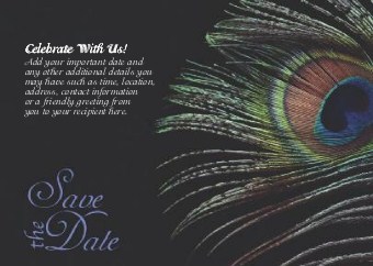 Peacock Feather Standard Sized Save the Date Postcards