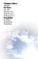 Clean Skies Full Colour Business Cards