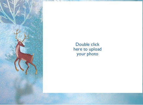 Reindeer Run Photo Christmas Cards