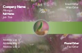 Gardeners Green Thumb Full Colour Magnetic Business Cards