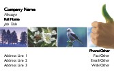 Green for Nature Recycled Business Cards