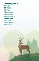 Protect the Wildlife