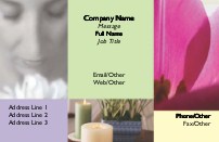 Pampered Full Colour Business Cards