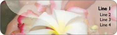 Aromatherapy Return Address Labels