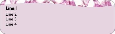Elemental Beauty Return Address Labels