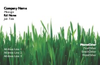 Lush Green Grass Full Colour Business Cards