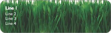 Lush Green Grass Return Address Labels