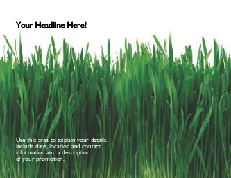 Lush Green Grass Large Magnets