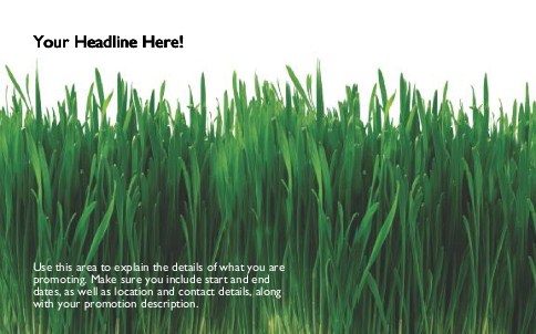 Lush Green Grass Full Colour Oversized Postcards