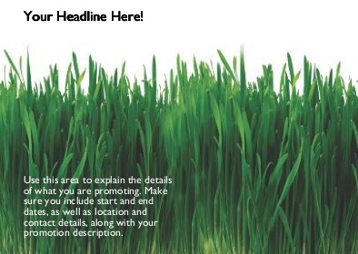 Lush Green Grass Full Colour Standard Sized Postcards