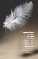 White Feather