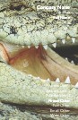 Close-Up of Crocodile Full Colour Business Cards