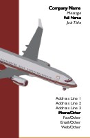 Commercial Airliner Full Colour Business Cards