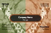 Giraffe's Reflection Full Colour Business Cards
