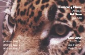 Hunter's Gaze Full Colour Business Cards