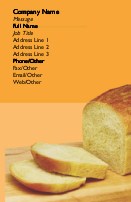 Loafing Around Full Colour Magnetic Business Cards