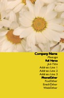 Maizey Daisies