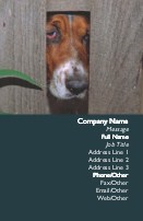 Peeking Dog Full Colour Business Cards